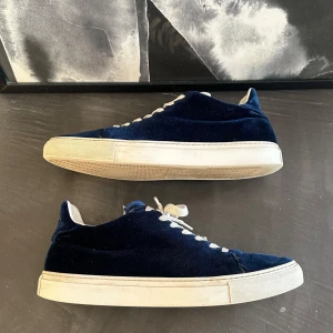 Difficult by P sneakers - Säljer åt en vän!❤️det ligger uppe ett par svarta också så kika gärna på dom också! De finns en liten defekt inne i skon även fram på skon därav pris, köper självklart nya skosnören innan ja skickar iväg dom till den som köper! 