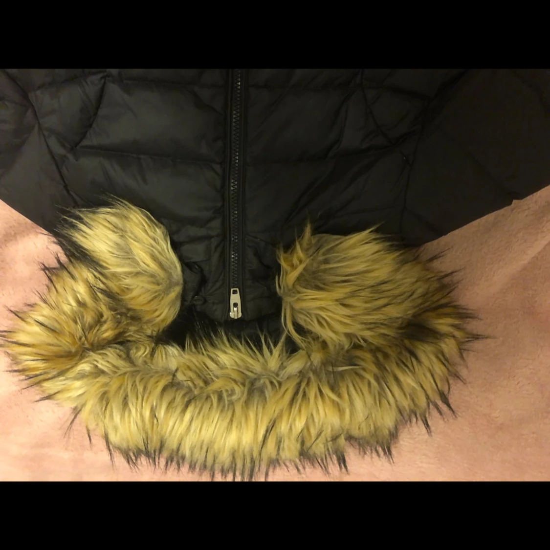 Rock and blue jacket, form fitting - 1