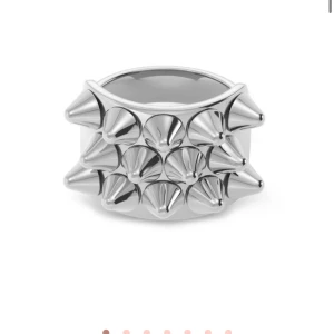 Silverfärgad ring med nitar - Jag säljer denna edblads ring i storlek L eller XL! Jag säljer den för den är för stor på mig o jag gillar bara inte hur den sitter på mig tycker inte att den passar mig! Och jag vill att den ska komma till bättre användning än att bara ligga hemma hos mig liksom! Och den är använd typ 2-4 gånger ungefär!