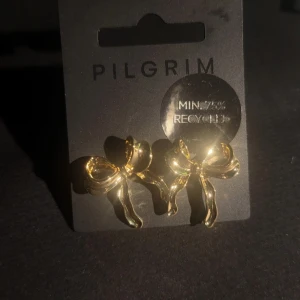 Guldiga rosettörhängen från Pilgrim - Snygga örhängen i form av rosetter från Pilgrim. De är i guldig färg och har en elegant, lekfull design som passar perfekt för att lyfta din outfit. Perfekta accessoarer för dig som gillar unika detaljer.