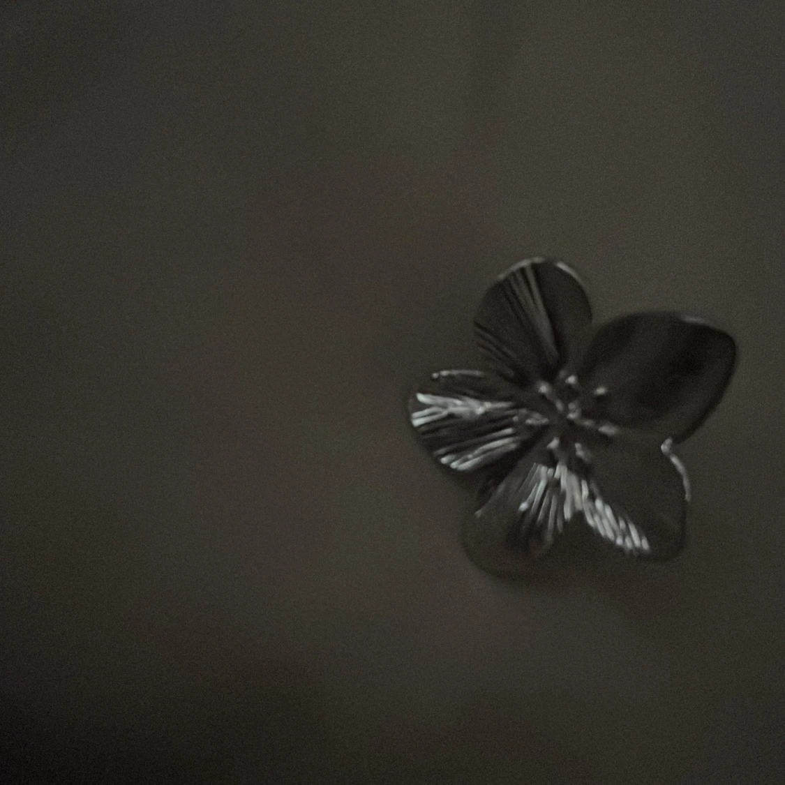 Silverfärgad blomring - 1