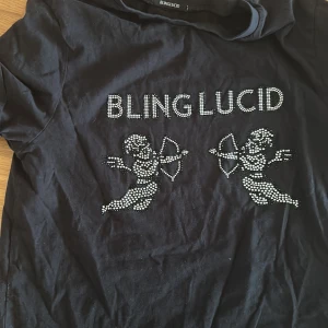 Svart t-shirt från Blinglucid. Använt runt 2 ggr. Storleks lapp har jag tagit bort! - Svart t-shirt från Blinglucid med coola strasstenar som bildar texten 'BLINGLUCID' och två änglar med pilbåge på bröstet. T-shirten har korta ärmar och en klassisk passform. Perfekt för dig som gillar statement-plagg med bling.