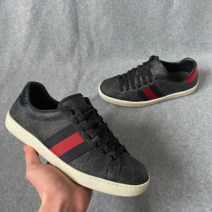 Gucci Ace skor  - Säljer ett par Gucci Ace skor som är i storlek 7 - 41 men sitter som 41/42! Hör gärna av dig om du har frågor! 