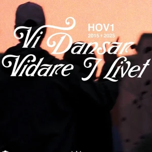 Vi Dansar Vidare I Livet - 1 biljett till Zinkensdamm råka köpa för många🥹ordinarie biljett ( skriv innan ni trycker på köp nu)
