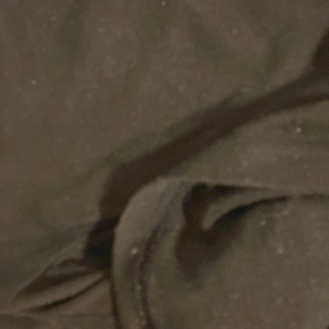 Svart t-shirt med Money Talks-tryck - 4