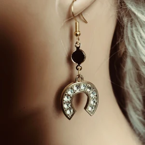 By prisförslag- 1 st Guldigt örhänge med hästsko och stenar - 1 st Snyggt örhänge i guldton med hängande hästskoformad detalj dekorerad med glittrande stenar. Örhänget har även en svart rund detalj ovanför hästskon. Perfekt accessoar för dig som gillar unika smycken med lite extra bling.