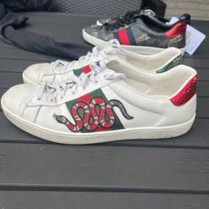 Gucci ace skor - Säljer dessa Gucci ace skorna i skick enligt bilderna. Storlek UK6 ~ 40-41. Endast skor medföljer