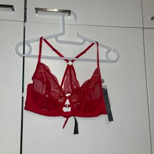 Rintaliivit - Ihanat punaiset rintaliivit. Kaarituet. Takana ihan pitsinen ristikko selkä. Täysin uudet, eivät tulleetkaan käyttöön. Koko 80C. Kissatalous MMM, lisätietoja saa kysymällä Katsothan myös muut ilmoitukseni Mikäli hinta ei miellytä tarvis rohkeasti 