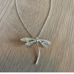 Silver halsband trollslända - Silvrigt halsband med en trollslända som hänge. Nytt! Köpt på en marknad. 