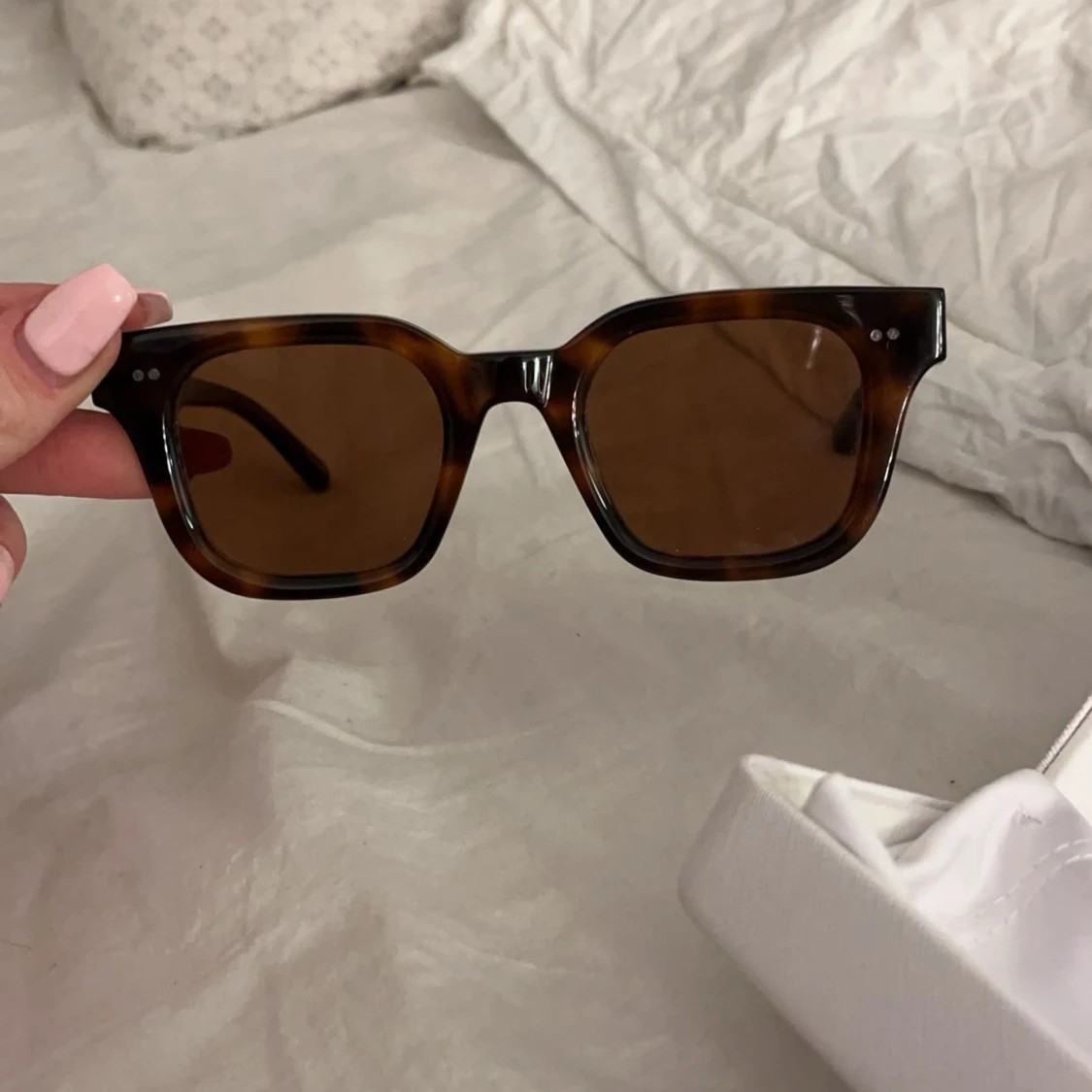 CHIMI 04 i tortoise - 2