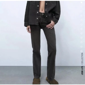 Trendiga Zara jeans - Baggy/straight low waist Zara jeans i storlek 34, bra skick. (Inte min bild!!)