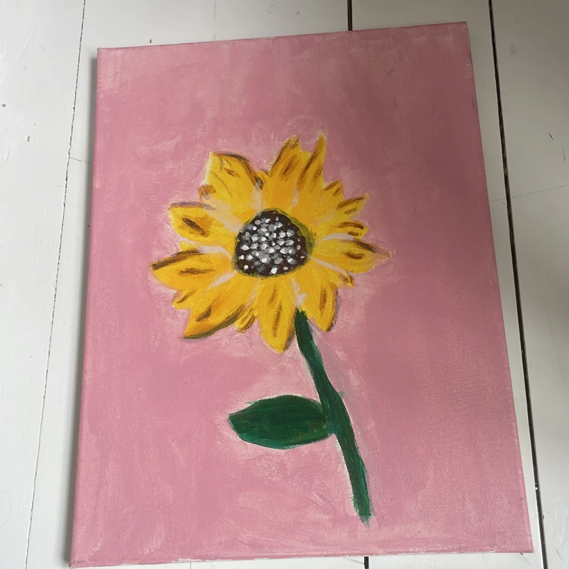 Solros på rosa bakgrund