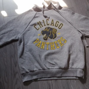 Grå hoodie Chicago Panthers tryck - Grå hoodie med huva och snörning, stor gul och svart Chicago Panthers-tryck framtill och pantermotiv. Mjuk bomullskänsla, ribbade muddar och lång ärm. Perfekt för dig som gillar sportig streetstyle och collegevibe. Som man ser på bild 3 och 4 så har den små målarfärgs prickar men de syns inte så bra när man har på sig tröjan!