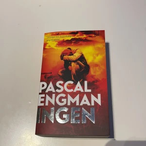 Ingen - En spännande thriller om samtiden där dödsskjutningar och organiserad brottslighet eskalerar. Följ Vanessa Frank och kollegorna på Grova brott i en berättelse om barnsoldater, människohandel och kampen för en bättre framtid. Perfekt för dig som gillar nervkittlande och aktuella historier.