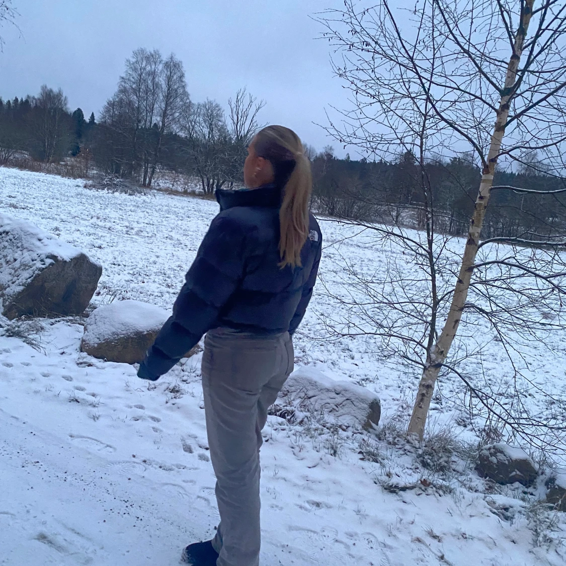 The north face jacka  - 90