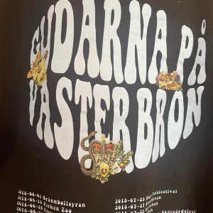 Hov1 hoodie gudarna på Västerbron  - Hov1 hoodie ”gudarna på Västerbron” köpt på konserten 2018 vid grönalund. Storlek M. Säljer pågrund av att jag aldrig använder den. Den är i princip i nyskick. Går inte att få tag på längre.