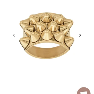 Edblad ring  - Ring från Edblad! Den är helt ny med lapp kvar, då den var för liten. Säljer en likadan i silver i min profil! Den är 16,8mm i diameter❣️Köparen står för frakt