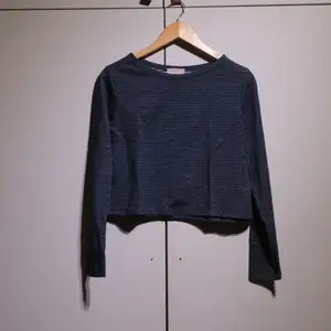 Long-sleeved top crop, bought from a local sustainable Italian brand. Blue with a light horizontal stripe, in perfect condition. 