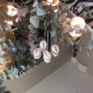 Snäckor🫶🏻 - Så fina och somriga🫶🏻❤️