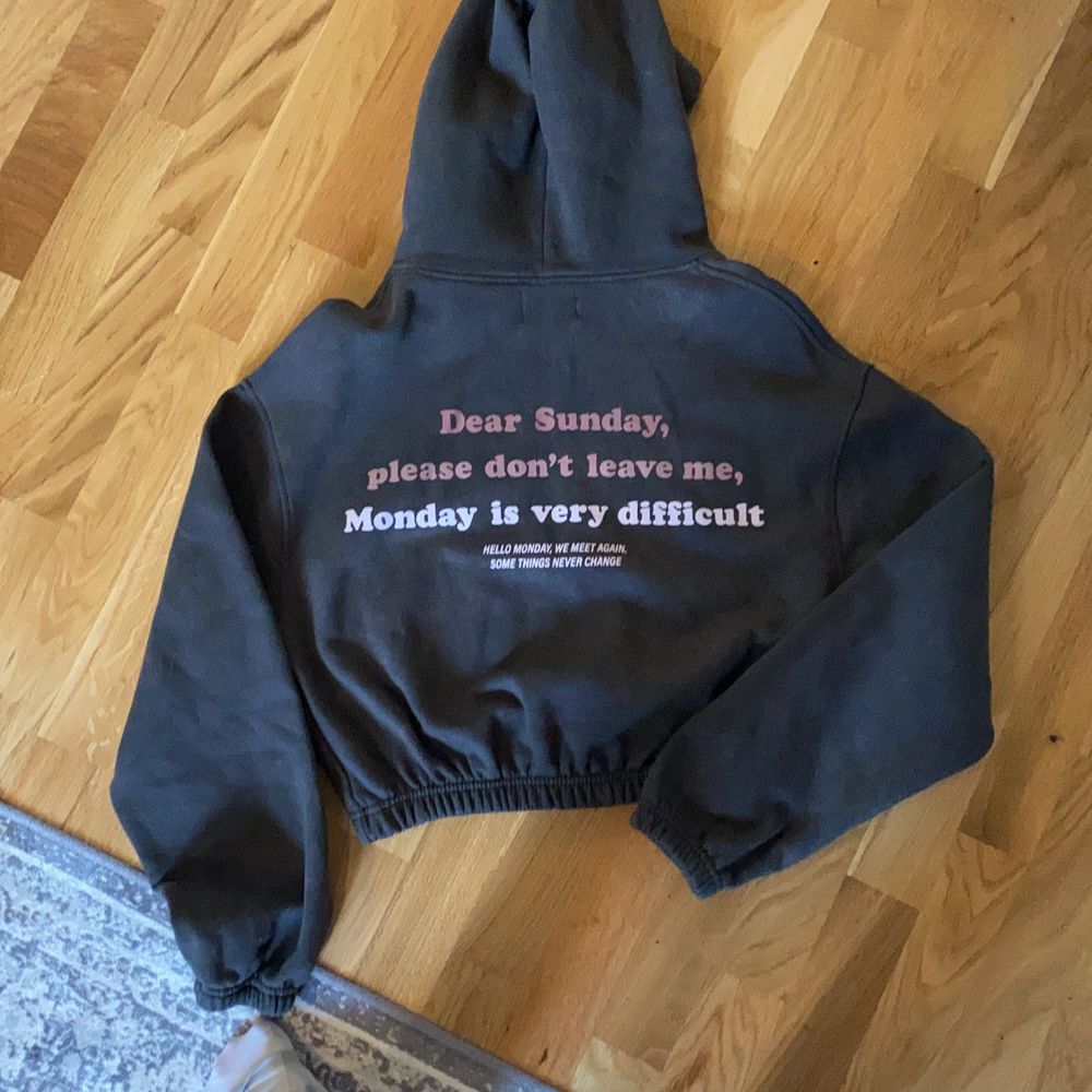 Pull and bear hoodie stl S grå med tryck både bak och framsida. Kort. Resår i midja. Grå/svart. Fint skick! Den ser blå ut på bilderna men är grå/svart. Köparen betalar frakt jag kan mötas upp i Älvsjö station. . Huvtröjor & Träningströjor.