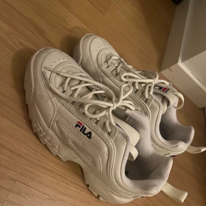 Fila skor  - Använd ca 4 ggr