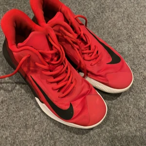 Tränings/basketskor - Inneskor att träna i, tex spela basket. Stl 41. Bra skick, endast använda inomhus.