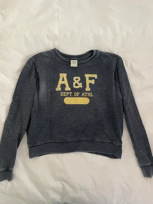 Sweatshirt  - Tröja/sweatshirt från abercrombie 