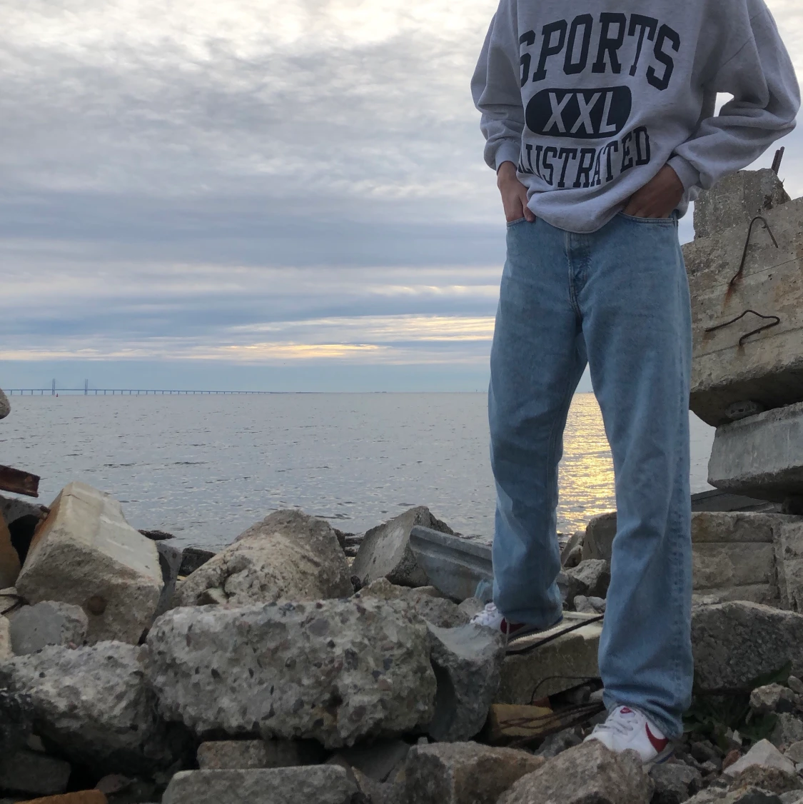 🌱VINTAGE SWEATSHIRT🌱 - 90