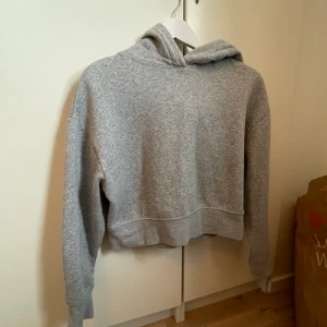 Hoodie från Zara - En gripas hoddie från zara, använder ej längre! Ordinarie 399kr