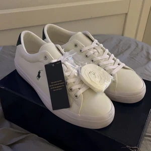 Polo skor  - Skor från polo Ralph lauren helt oanvända, extra snören + låda ingår, nypris 800kr 