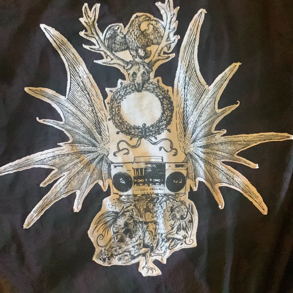En punk ish tröja med coolt motiv på ryggen  Står ingen storlek men skulle sagt m/L . Tröjor & Koftor.