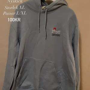 Hoodie - Hoodie herr