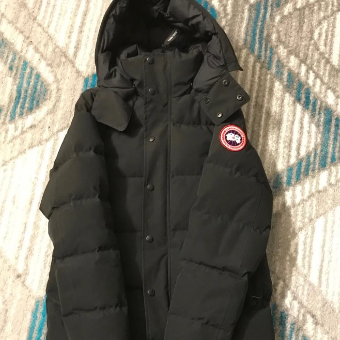 Canada goose wydman  - 90