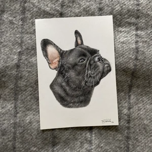 ALLA ❤️-DAGPRESENT  - Beställ ett djurporträtt som alla ❤️-dagpresent till ett väldigt rabaterat pris. Frakten är inräknad i priset pch målningen hinner fram innan den 14:e. Hälften av det jag får in skänker jag till hundstallet! Målningen målas på ett A4 (450kr) eller A5 (350kr) 🤩   Hör av dig till mig och skicka bilden du vill få avmålad så sätter jag igång! 