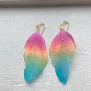 Vackra fjäderörhängen🫶🏻 - Säljer nu dessa vackra fjäderörhängen🫶🏻 aldrig använ men förpackningen finns inte kvar tyvärr💗 hör bara av er om ni vill köpa👍