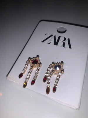 Helt nya ZARA örhängen!  - Oöppnade!  