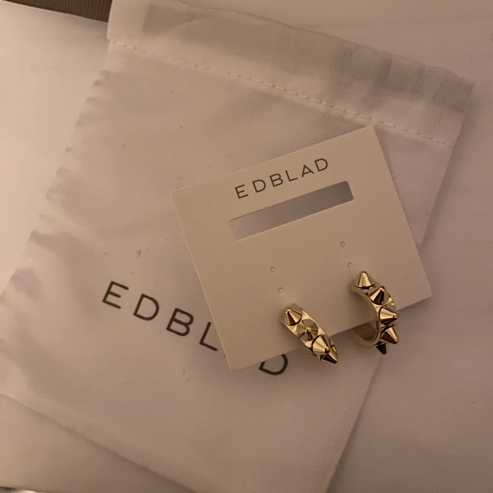 Hel nya guldörhängen från Edblad! Fick fel i beställningen och därav säljer. Köparen står för frakt💕✌🏻. Övrigt.