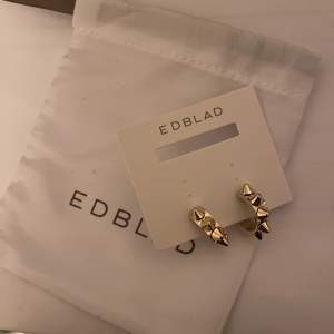 Hel nya guldörhängen från Edblad! Fick fel i beställningen och därav säljer. Köparen står för frakt💕✌🏻