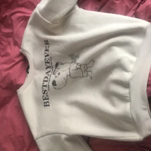 Jätte kön och bekväm hoodie från SHEIN,  - Den är aldrig använt och är i jätte bra skick. Storlek m men passar mig som brukar ha S på hoodies.