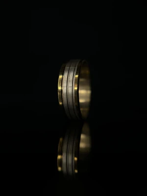 Ny Rostfri Ring (69kr)  - Helt ny rostfri ring. Frakt kostar. 