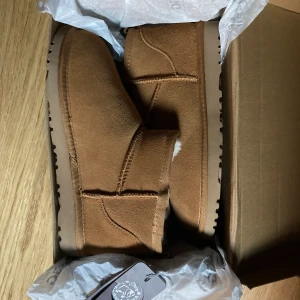 Uggs st 39 - Jag säljer mina helt nya ozwear uggs mini i färgen chestnut, st 39. Köpta för 1900kr på en australiensisk hemsida och säljs för 1100kr. De kommer i original skokartongen med lappen kvar. Säljs pga fick fel storlek vid beställningen. 