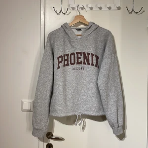 Hoodie med tryck XL - Grå hoodie me brunt tryck och snöre i midjan. Använt några gånger. Priset kan diskuteras!🥰