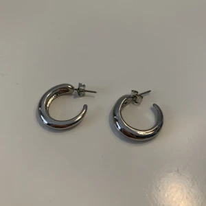 Silvriga örhängen  - 15kr+ frakt 