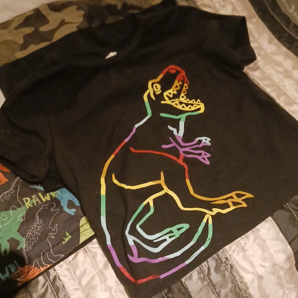 3 svarta t-shirtar, 2 med dinosariemotiv i storlek 92, 1 i melerande färg i storlek 92, inköpt från shein, använt skick.. T-shirts.