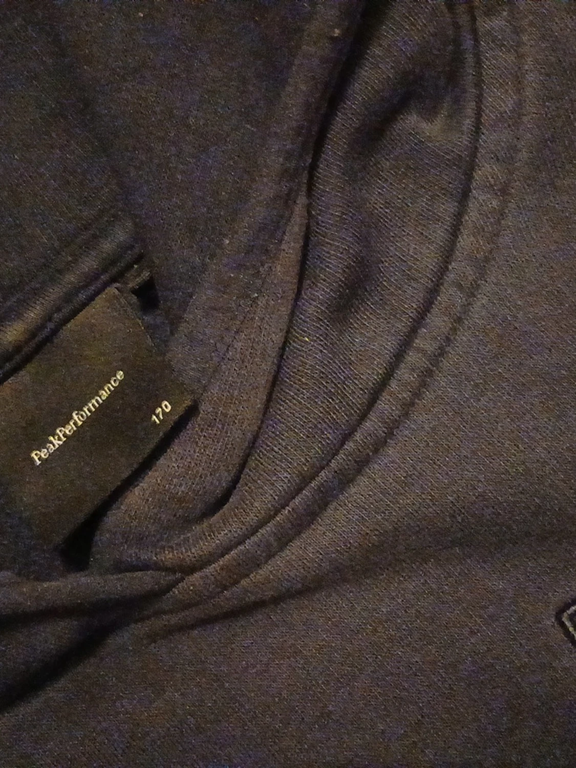 Peak performance hoodie - 1