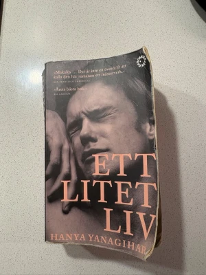 Ett litet liv - En gripande roman om fyra vänner i New York, deras vänskap, drömmar och livets utmaningar. Perfekt för dig som vill läsa en stark berättelse om relationer, kärlek och att hitta sin plats i världen. En modern klassiker som berör på djupet.