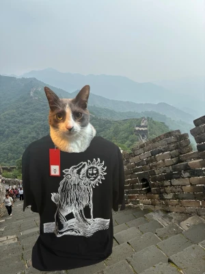 4115  - Äkta 4115 t shirt , ritual aura , endast använd en gång av min katt link på besök vid kinesiska muren utanför 北京 