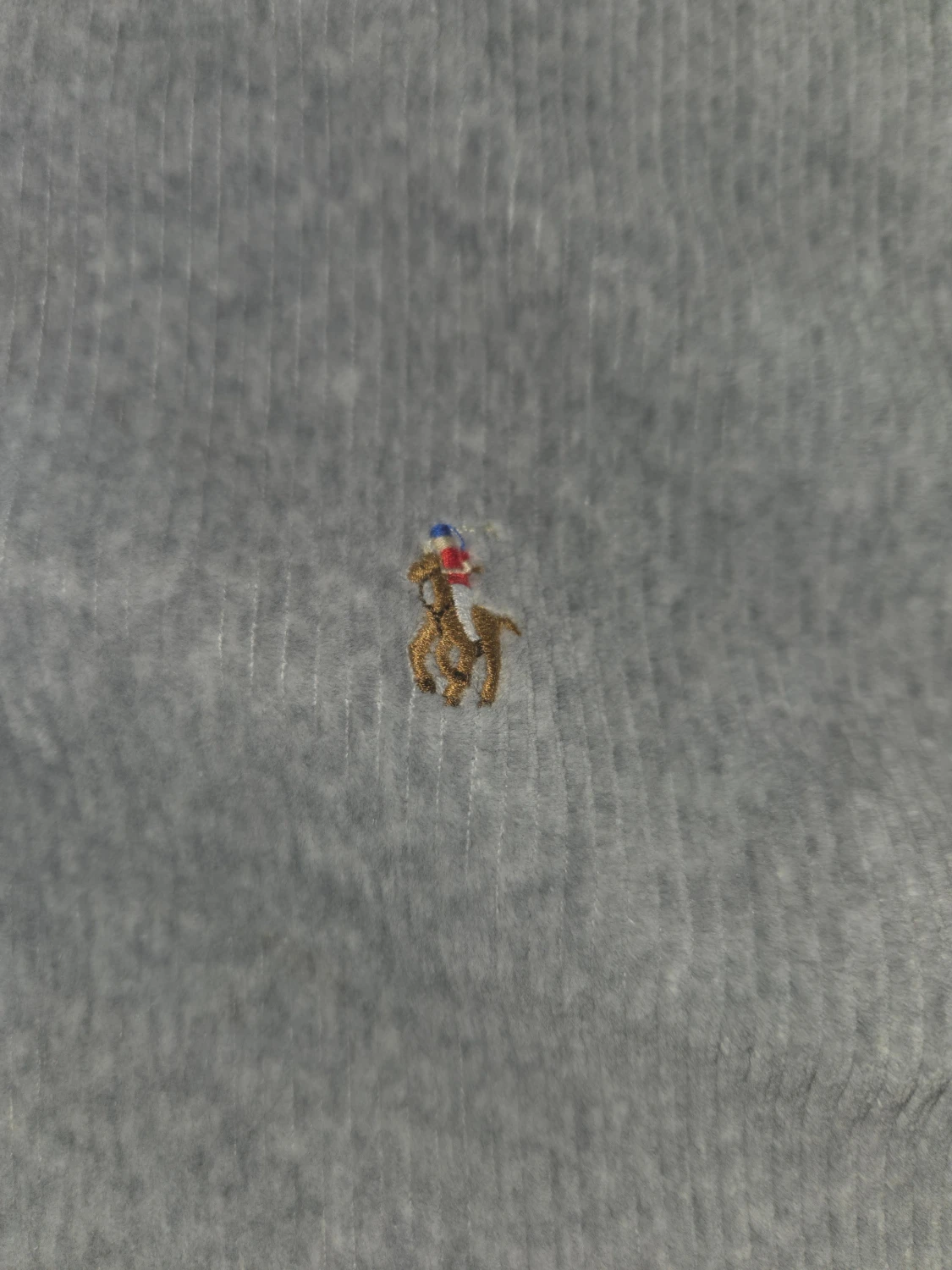 Grå hoodie från Polo Ralph Lauren - 1