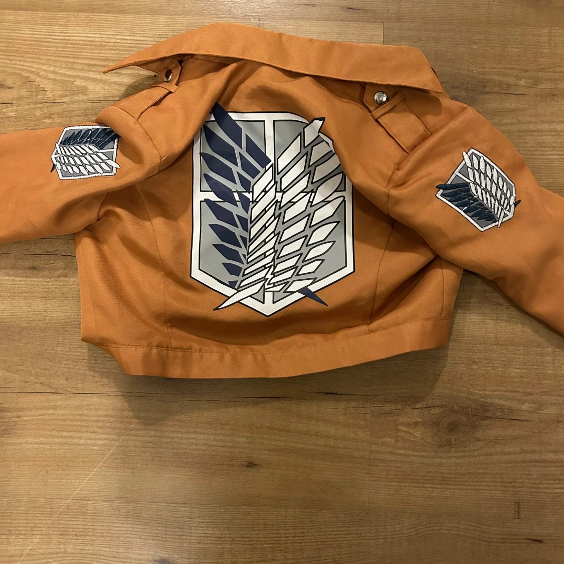 Attack on Titan cosplay - 3