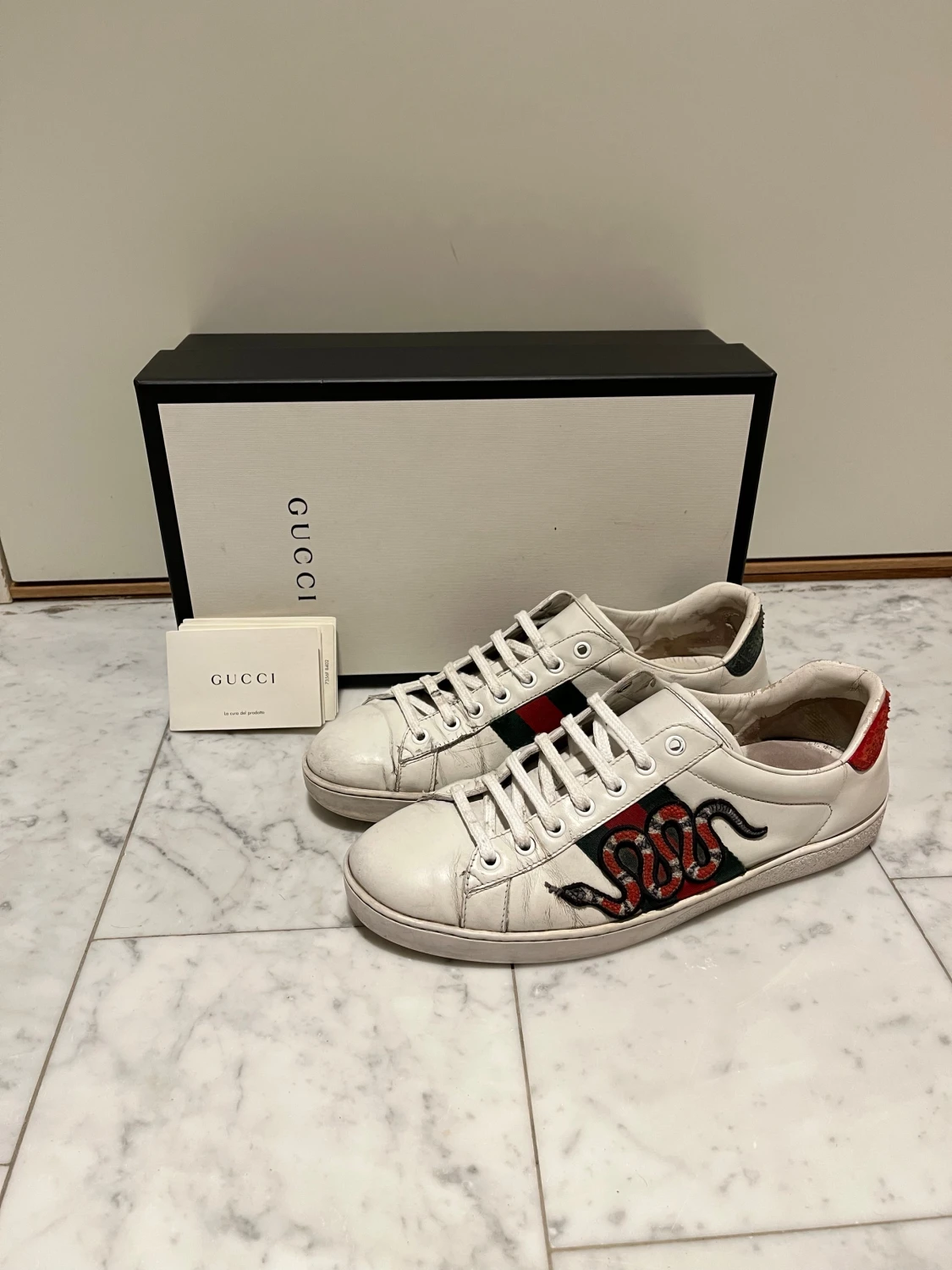 Gucci Ace ✅byte - 4